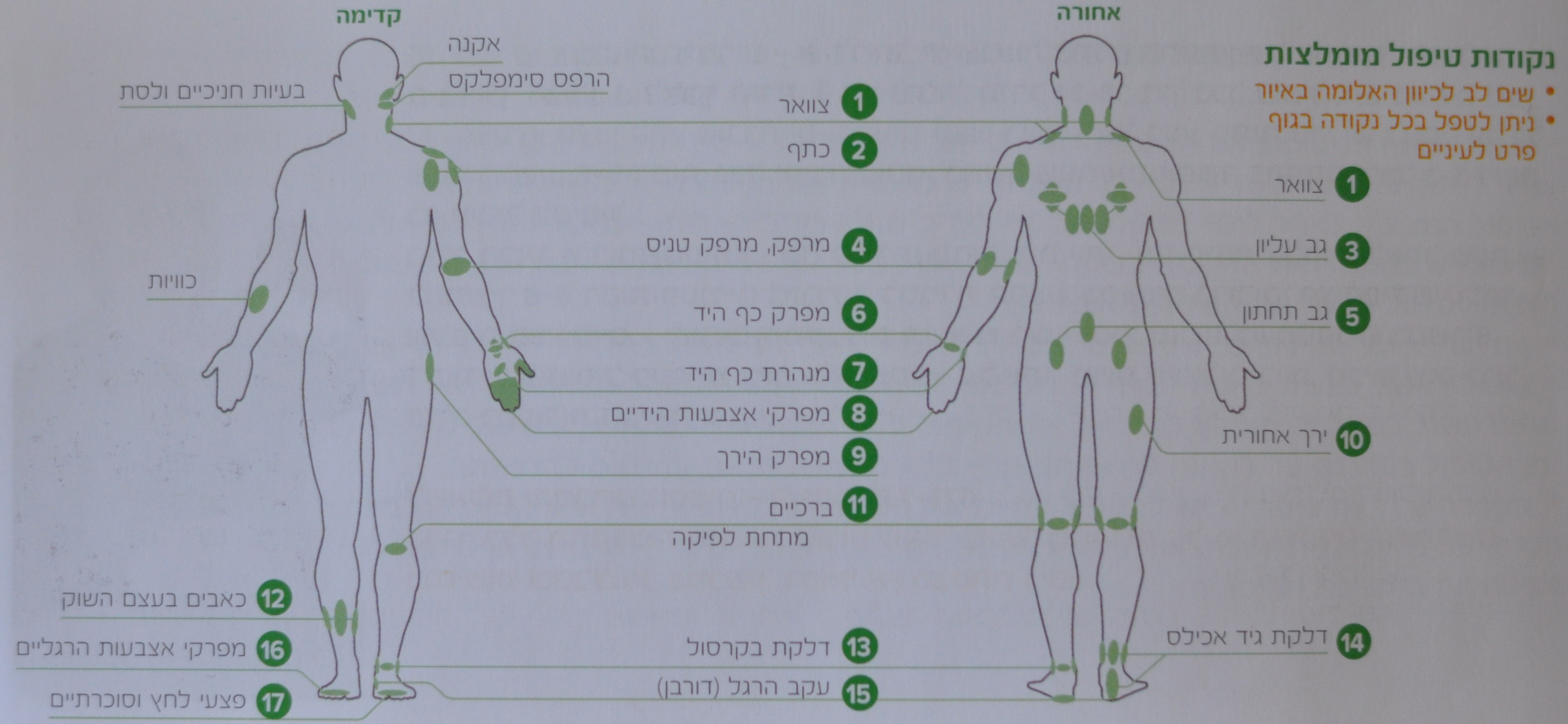 בי קיור לייזר - מיקום העלומות בגוף